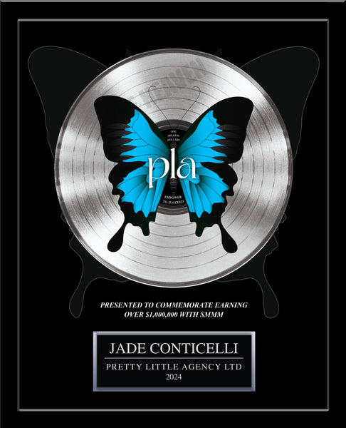 ART RECORD - 18" x 22" Framed 12" Platinum Record - Deluxe Framed Rockstar Award