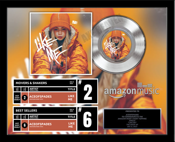 2 or 3 CHART - BILLBOARD Record Award - Platinum 7" Record Album Award - 18" x 22" Framed Artist & Band