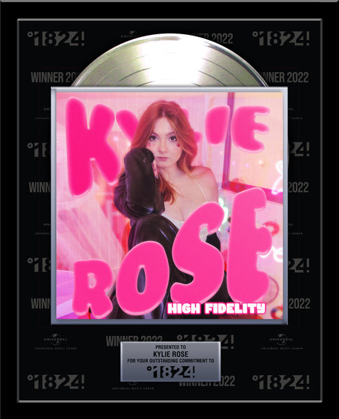 CUSTOM ARTIST & EMPLOYEE Platinum Record Awards - 18" x 22" Framed - 12" Gold or Platinum Records