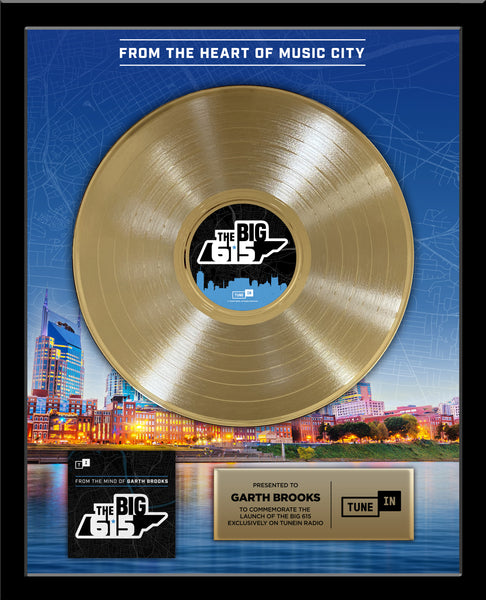 RADIO STATION & DJ GOLD RECORD Achievement Award 18" x 22" Framed 12" - Metalized Gold Record