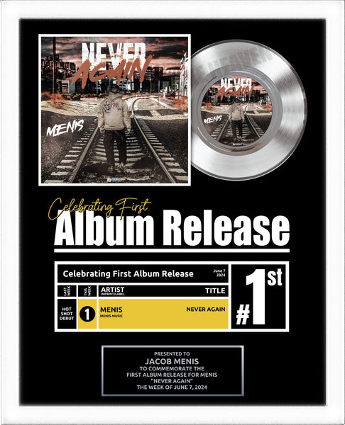 FIRST ALBUM RELEASE Platinum Record Award - Great Gift for your Artist! Platinum 7" Record Gift Award - 18" x 22" Framed