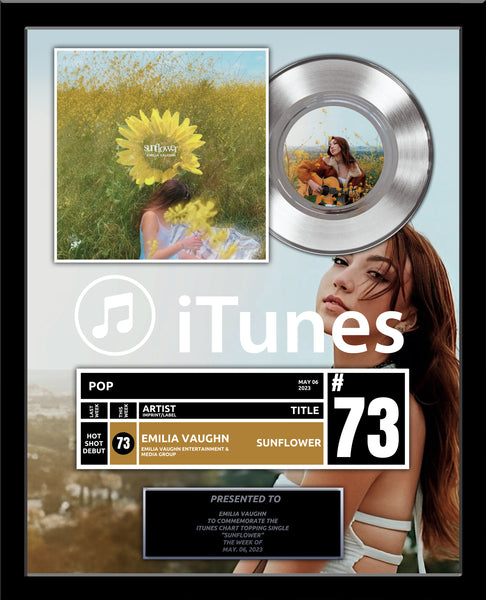 BILLBOARD Record Award - Platinum 7" Record Album Award - 18" x 22" Framed Artist & Band - iTunes, Spotify Recognition