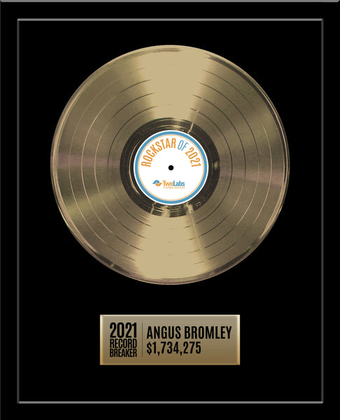 18" x 22" Framed 12" Gold Record - Basic Framed Rockstar Award - Metalized Gold Record
