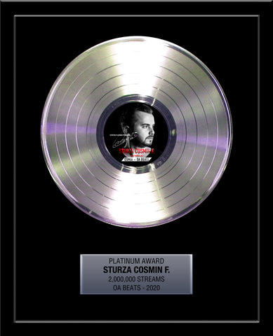 PLATINUM RECORD 18" x 22" Framed Rockstar Award - 12" Metalized Platinum Record