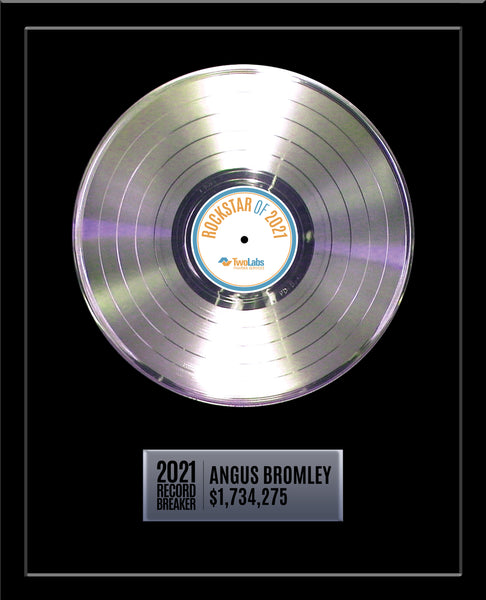 PLATINUM BUSINESS RECORD 18" x 22" Framed Rockstar Award - 12" Metalized Platinum Record