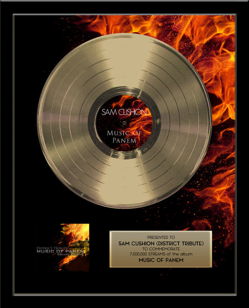 GOLD RECORD Album Tribute 18" x 22" Framed Artist & Band 12" - Metalized Gold Record