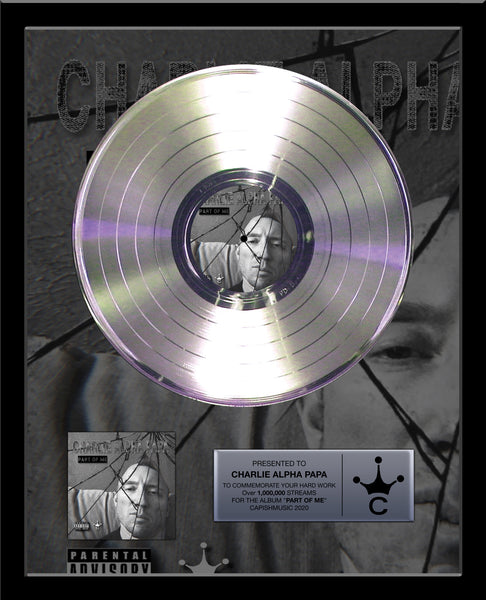 ARTIST & BAND Platinum Record Album Tribute - 18" x 22" Framed - 12" Metalized Platinum Record