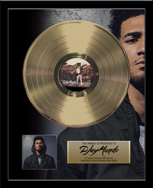 GOLD RECORD Album Tribute 18" x 22" Framed Artist & Band 12" - Metalized Gold Record