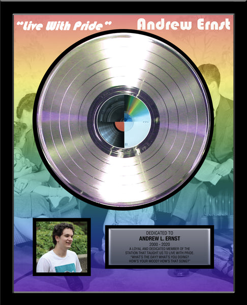 BUSINESS & BAND Platinum Record - Deluxe Framed Rockstar Award - 18" x 22" Framed 12" Metalized Platinum Record