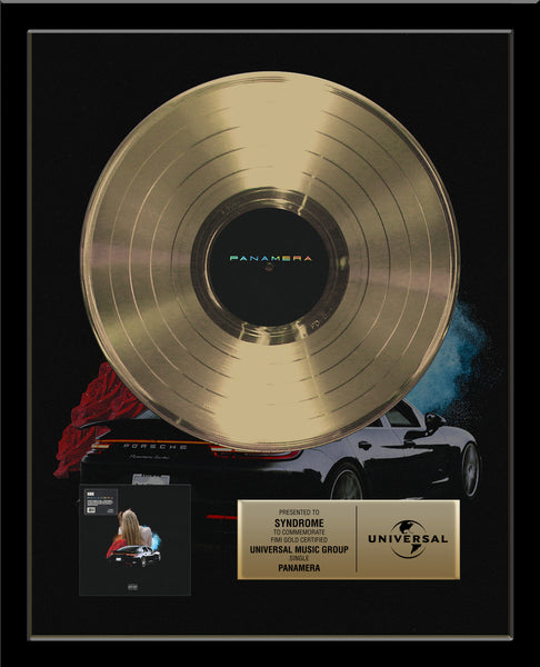 GOLD RECORD Album Tribute 18" x 22" Framed Artist & Band 12" - Metalized Gold Record