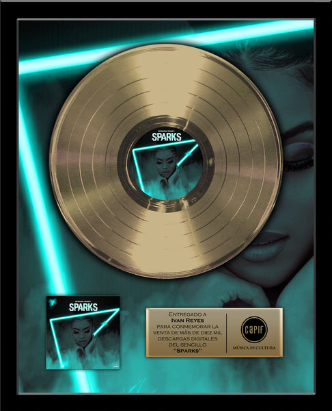 GOLD RECORD Album Tribute 18" x 22" Framed Artist & Band 12" - Metalized Gold Record