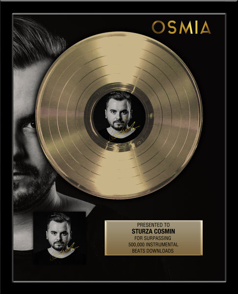 GOLD RECORD Album Tribute 18" x 22" Framed Artist & Band 12" - Metalized Gold Record