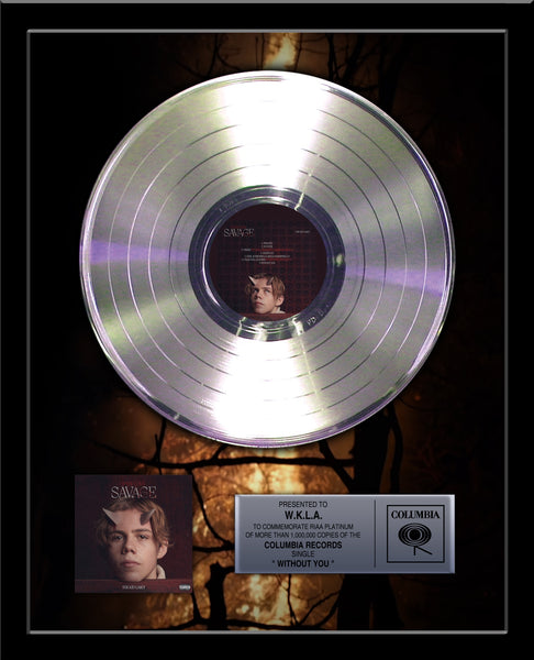 ARTIST & BAND Platinum Record Album Tribute - 18" x 22" Framed - 12" Metalized Platinum Record