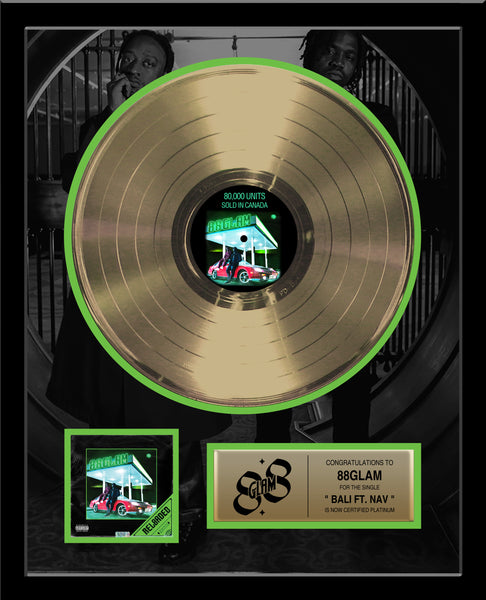 GOLD RECORD Album Tribute 18" x 22" Framed Artist & Band 12" - Metalized Gold Record