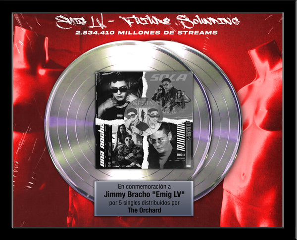 DOUBLE PLATINUM RECORD - 22" x 18" Framed Horizontal 12" Platinum Record Album Tribute