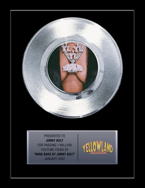 11" x 14" Framed 7" Artist Platinum Record - Platinum Artist Podcast & Album Release Record Award