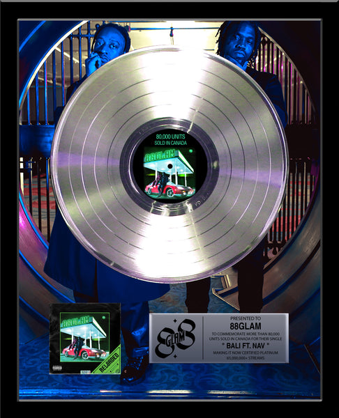 ARTIST & BAND Platinum Record Album Tribute - 18" x 22" Framed - 12" Metalized Platinum Record