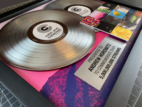 DOUBLE PLATINUM RECORD - 22" x 18" Framed Horizontal 12" Platinum Record Album Tribute