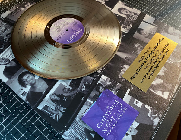 18" x 22" Framed 12" Gold Record - Deluxe Framed Rockstar Award - Metalized Gold Record