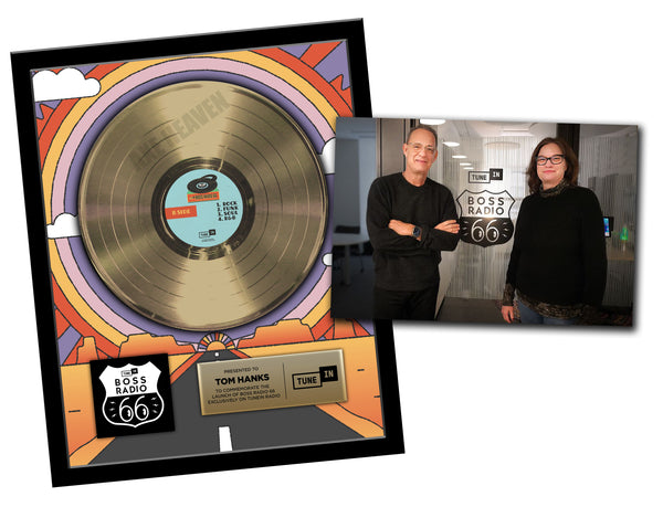18" x 22" Framed 12" Gold Record - Deluxe Framed Rockstar Award - Metalized Gold Record