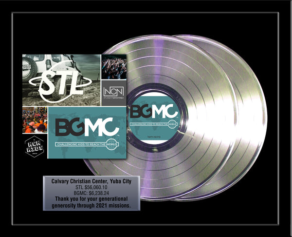 DOUBLE PLATINUM RECORD - 22" x 18" Framed Horizontal 12" Platinum Record Album Tribute