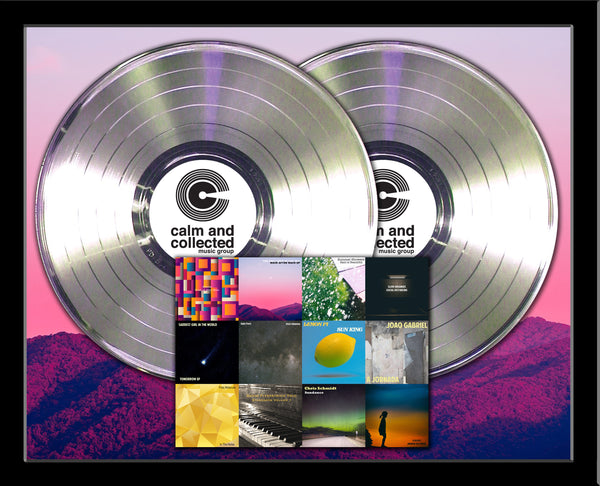 DOUBLE PLATINUM RECORD - 22" x 18" Framed Horizontal 12" Platinum Record Album Tribute