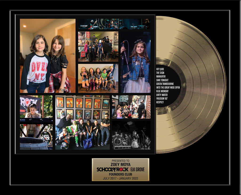 CUSTOM ALBUM COVER AWARD - 12" VINYL LP RECORD - Framed 22" x 18" Gold & Platinum Record Album Tribute