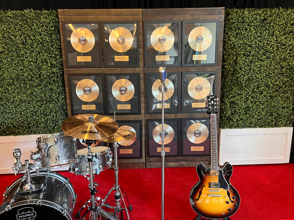 CUSTOM ALBUM COVER AWARD - 12" VINYL LP RECORD - Framed 22" x 18" Gold & Platinum Record Album Tribute