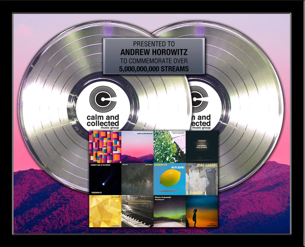 DOUBLE PLATINUM RECORD - 22" x 18" Framed Horizontal 12" Platinum Record Album Tribute