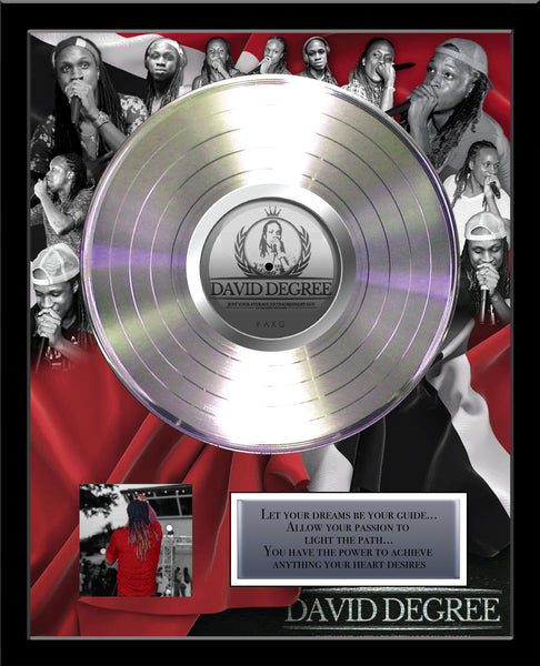 ARTIST & BAND Platinum Record Album Tribute - 18" x 22" Framed - 12" Metalized Platinum Record
