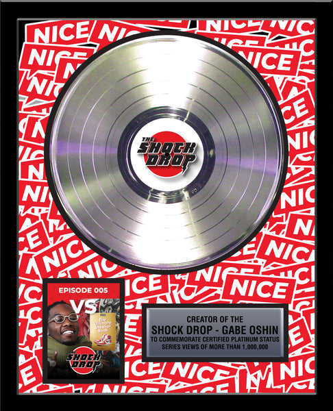 ARTIST & BAND Platinum Record Album Tribute - 18" x 22" Framed - 12" Metalized Platinum Record