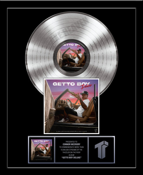 PLATINUM RECORD VERTICAL DESIGN Album Tribute 18" x 22" Framed Artist Award 12" Platinum Record