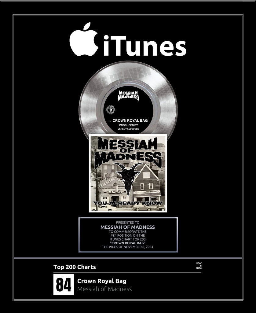 VIEWS iTunes Record Award - Platinum 7" Record Album & Influencer Award - 18" x 22" Framed (Copy)