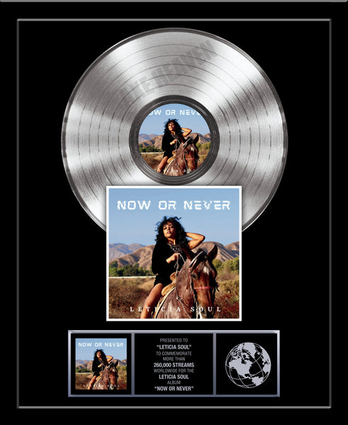 PLATINUM RECORD VERTICAL DESIGN Album Tribute 18" x 22" Framed Artist Award 12" Platinum Record