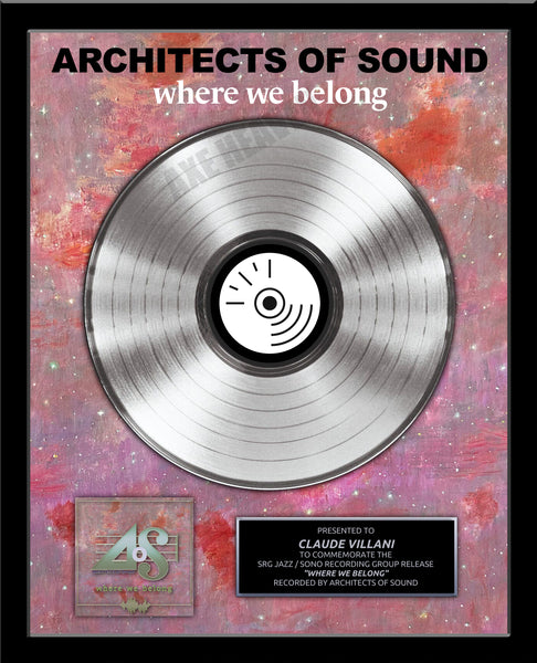 ARTIST & BAND Platinum Record Album Tribute - 18" x 22" Framed - 12" Metalized Platinum Record