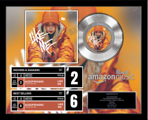 BILLBOARD Record Award - Platinum 7" Record Album Award - 18" x 22" Framed Artist & Band - iTunes, Spotify Recognition