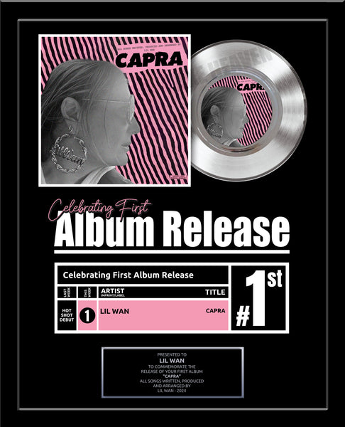 FIRST ALBUM RELEASE Platinum Record Award - Great Gift for your Artist! Platinum 7" Record Gift Award - 18" x 22" Framed