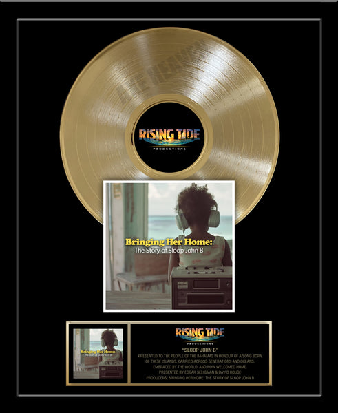 GOLD RECORD VERTICAL DESIGN Album Tribute 18" x 22" Framed Artist Award 12" Gold Record