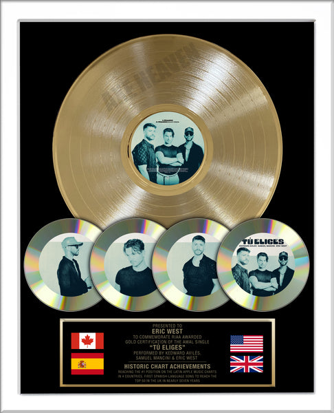 Custom Platinum Record & CD Award 18" x 22" Framed Award with REAL 12" Metalized Platinum Record