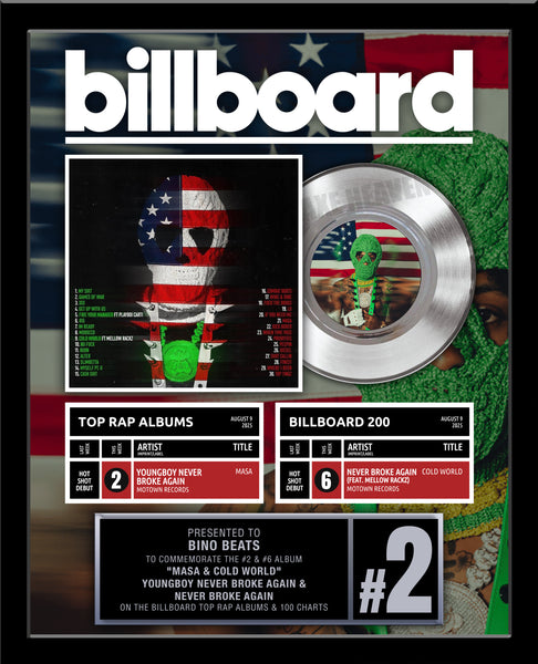 DOUBLE or TRIPLE CHART - BILLBOARD Record Award - Platinum 7" Record Album Award - 18" x 22" Framed Artist & Band