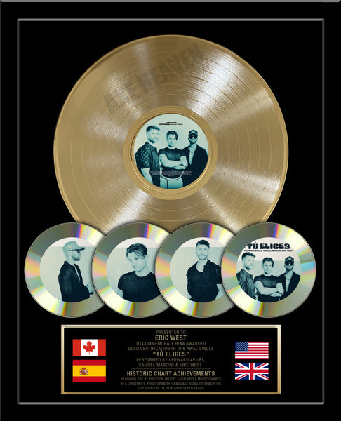 Custom Platinum Record & CD Award 18" x 22" Framed Award with REAL 12" Metalized Platinum Record