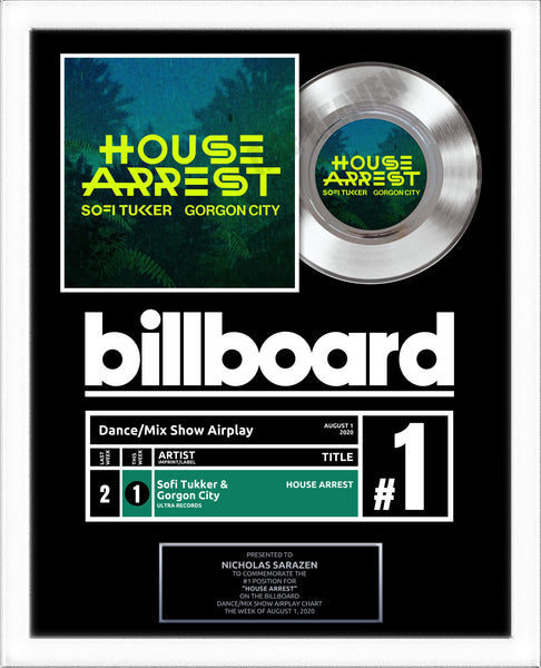 BILLBOARD Record Award - Platinum 7" Record Album Award - 18" x 22" Framed Artist & Band - iTunes, Spotify Recognition