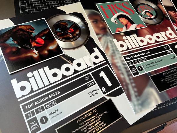 BILLBOARD Record Award - Platinum 7" Record Album Award - 18" x 22" Framed Artist & Band - iTunes, Spotify Recognition