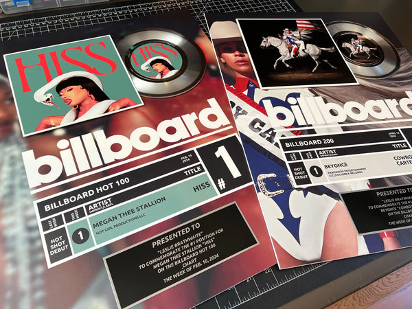 Top of Charts BILLBOARD Record Award - Platinum 7" Record Album Award - WHITE FRAMED - 18" x 22" Artist & Band