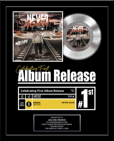 FIRST ALBUM RELEASE Platinum Record Award - Great Gift for your Artist! Platinum 7" Record Gift Award - 18" x 22" Framed