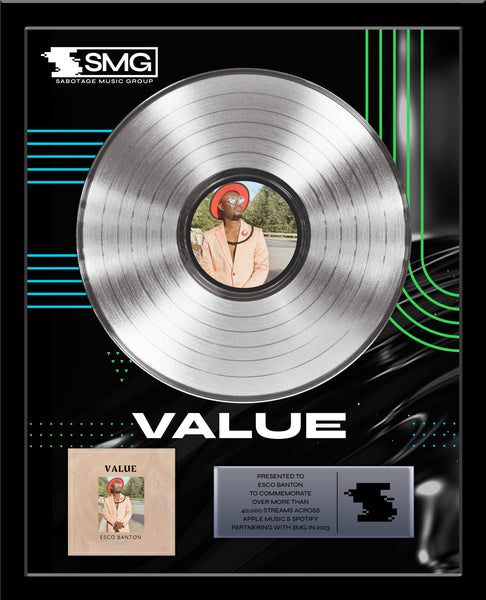 ARTIST & BAND Platinum Record Album Tribute - 18" x 22" Framed - 12" Metalized Platinum Record