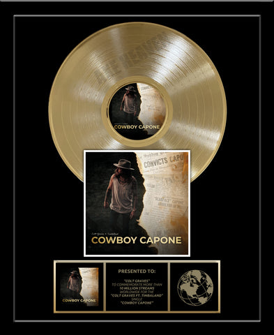 GOLD RECORD VERTICAL DESIGN Album Tribute 18" x 22" Framed Artist Award 12" Gold Record
