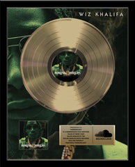 GOLD RECORD Album Tribute 18" x 22" Framed Artist & Band 12" - Metalized Gold Record