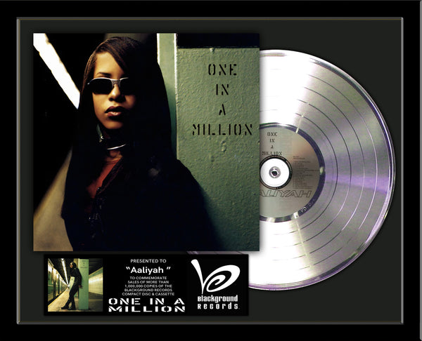 DOUBLE PLATINUM RECORD - 22" x 18" Framed Horizontal 12" Platinum Record Album Tribute