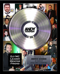 DJ & RADIO STATION PLATINUM RECORD Achievement Award 18" x 22" Framed 12" - Metalized Platinum Reco rd
